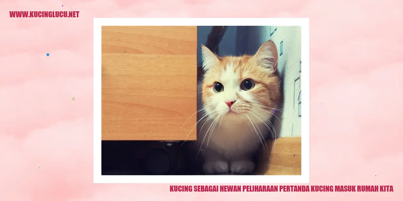 Kucing sebagai Hewan Peliharaan