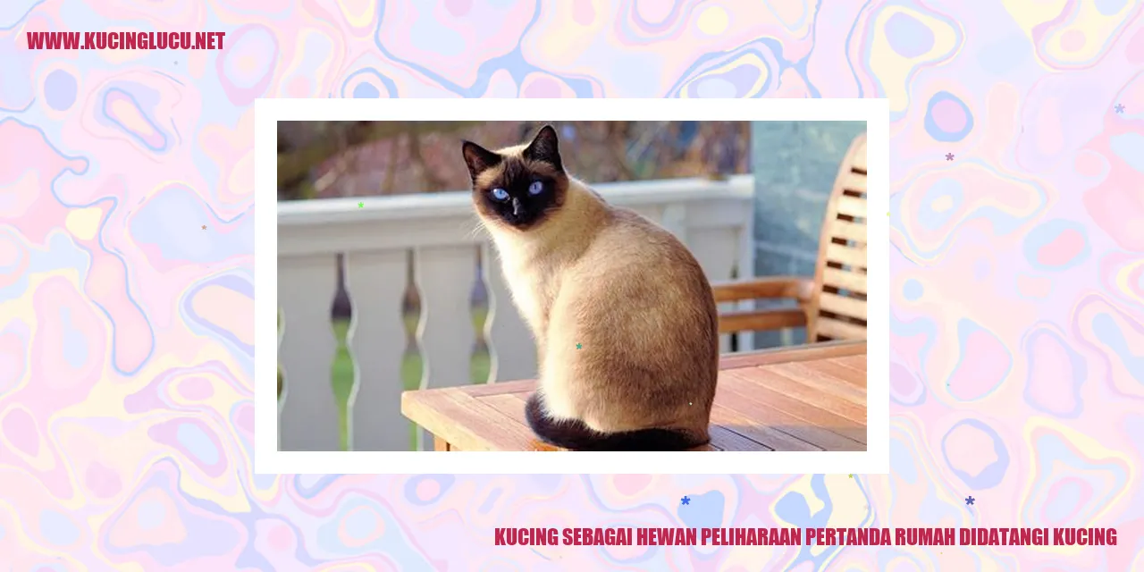 Kucing sebagai Hewan Peliharaan pertanda rumah didatangi kucing