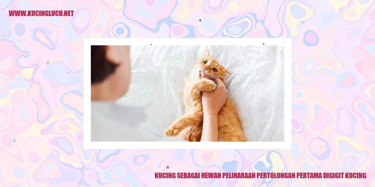 Kucing sebagai Hewan Peliharaan pertolongan pertama digigit kucing