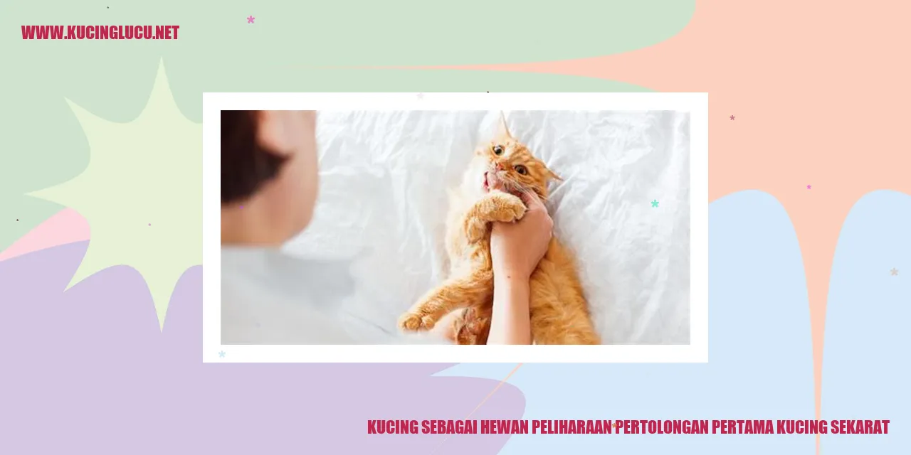 Kucing sebagai Hewan Peliharaan Pertolongan Pertama Kucing Sekarat