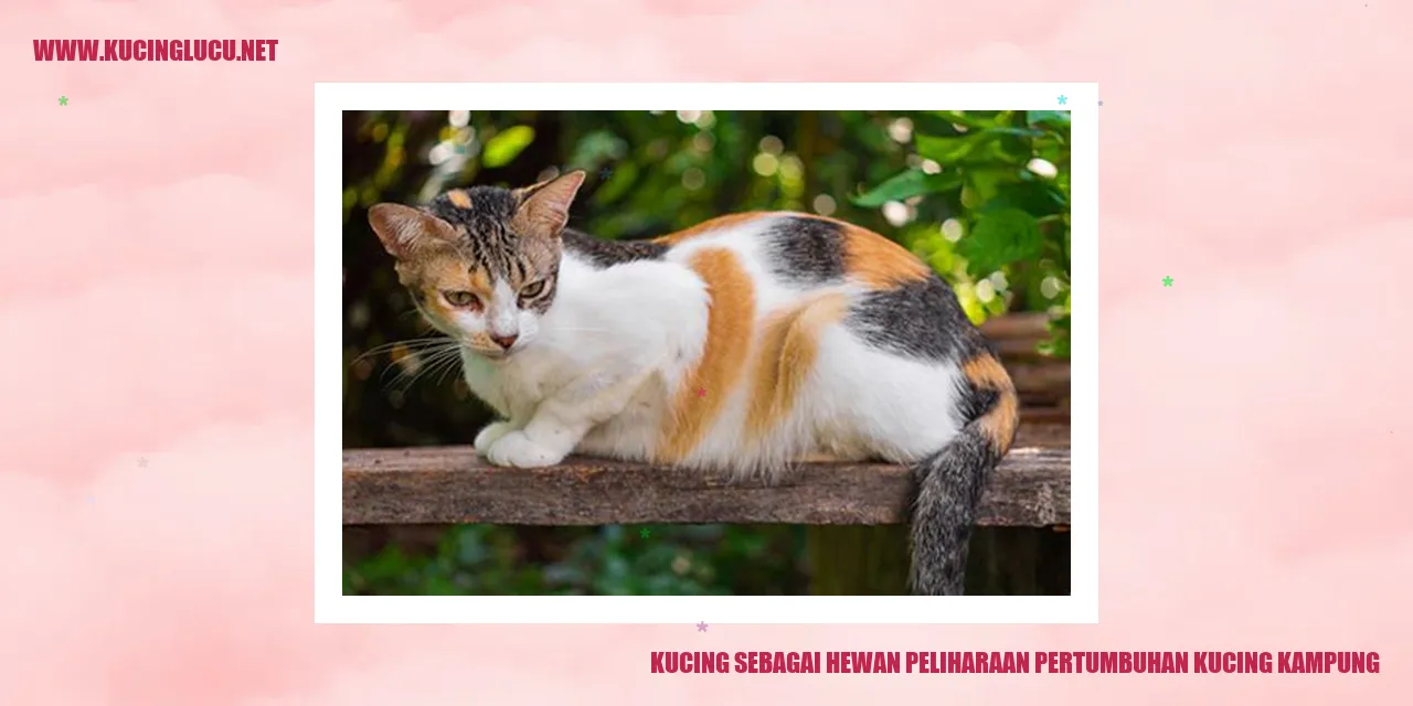 Gambar kucing
