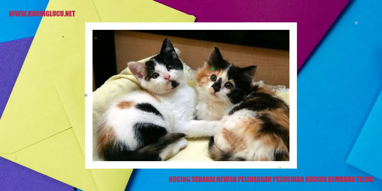 Gambar kucing yang menggemaskan
