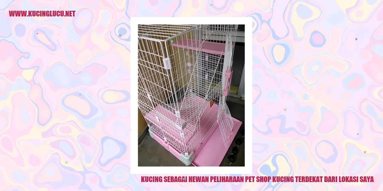 Kucing