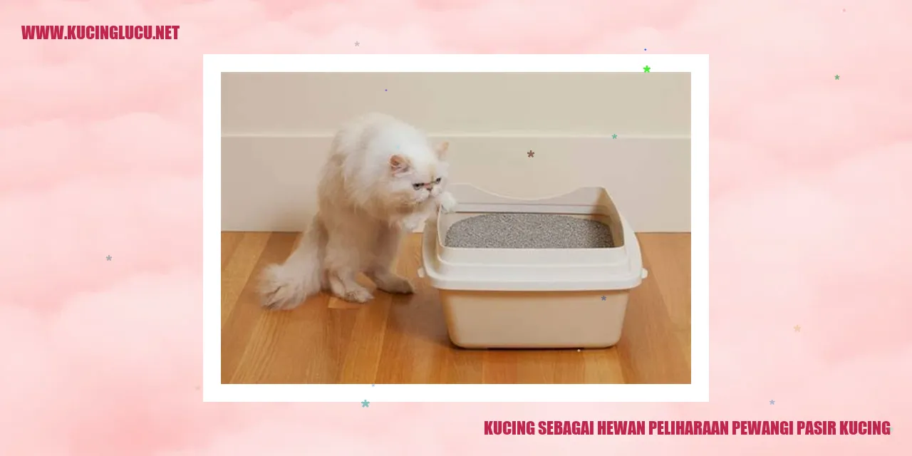 Kucing hewan kurawa