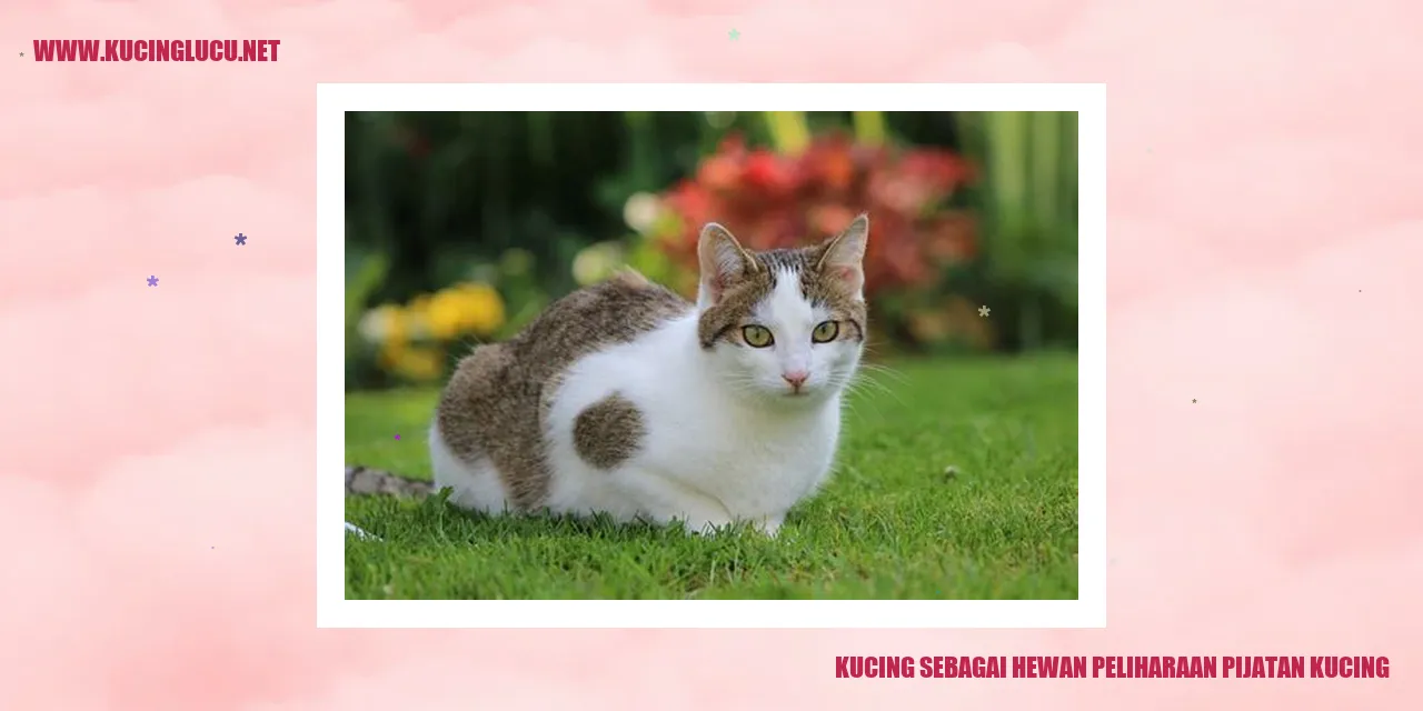 kucing menikmati waktu santai