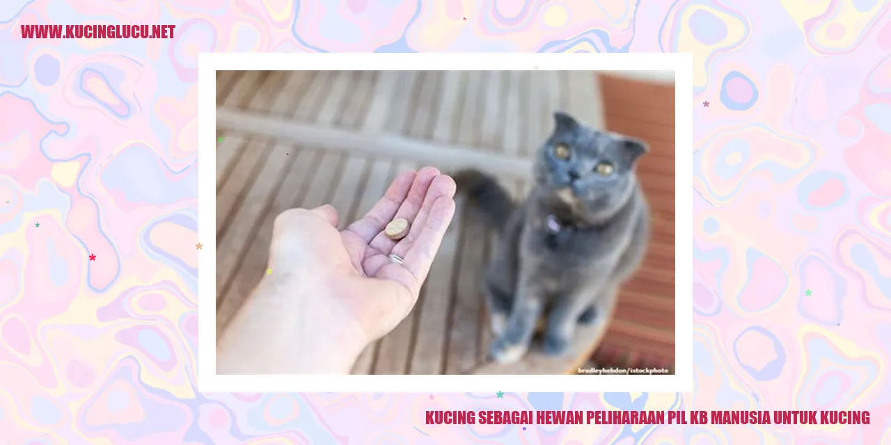 kucing sebagai hewan peliharaan