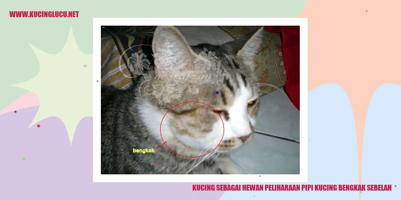 Gambar kucing sedang tidur