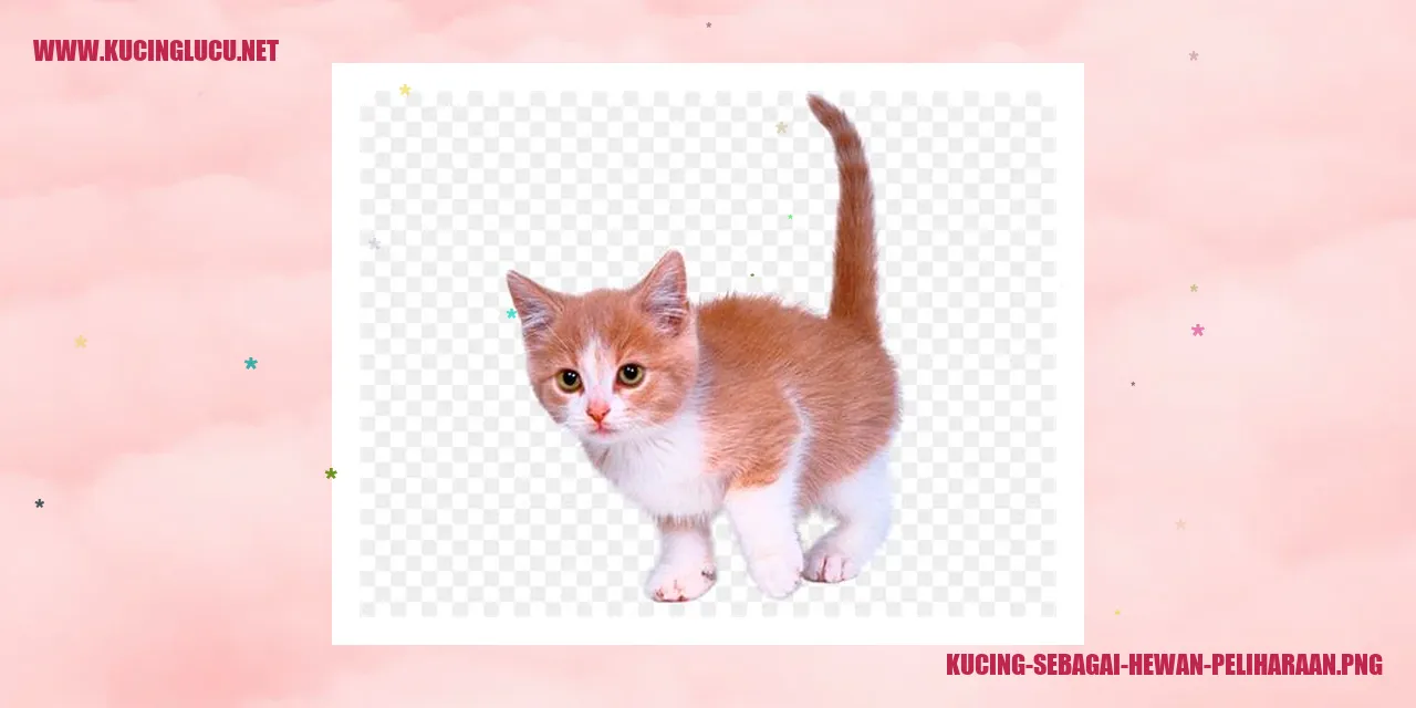Gambar Kucing
