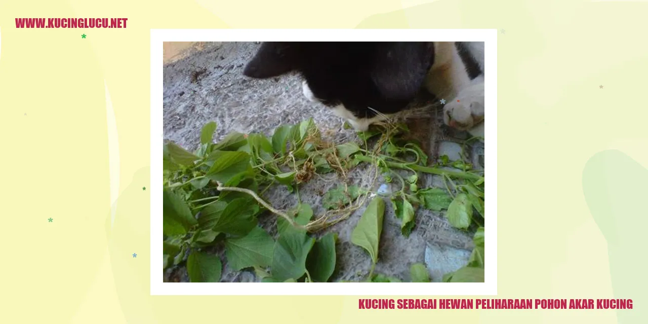 Kucing sebagai Hewan Peliharaan