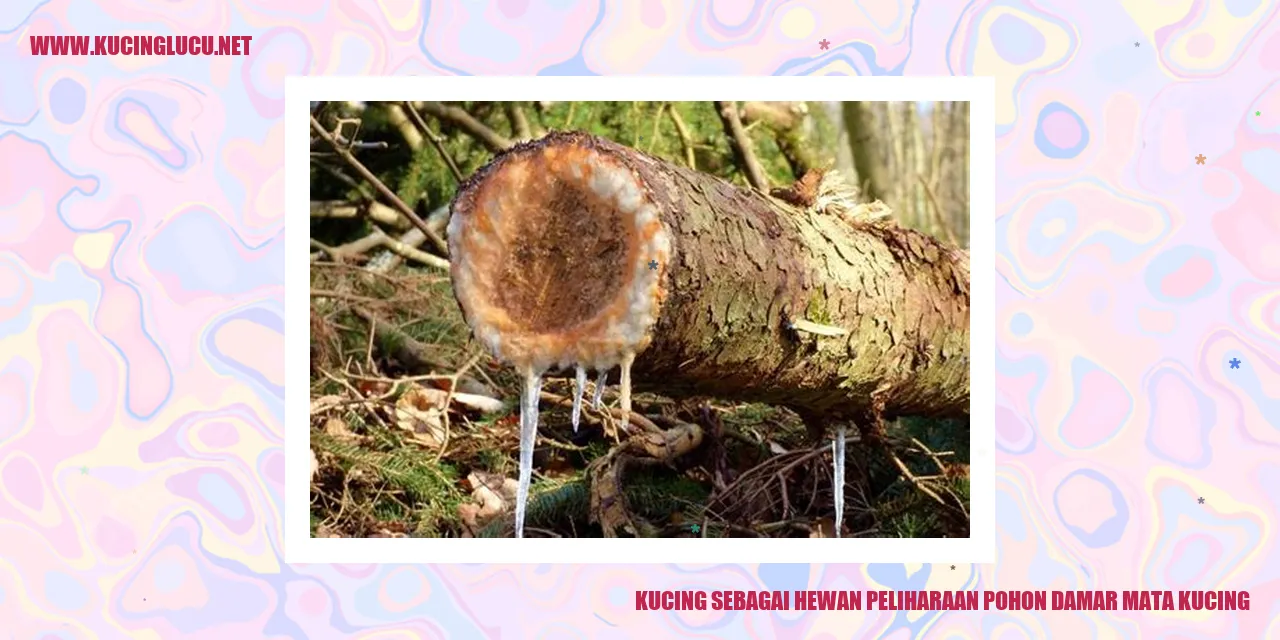 Kucing Sebagai Hewan Peliharaan