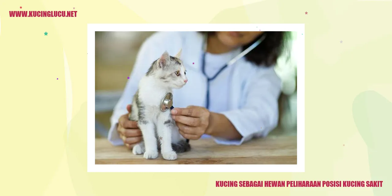 Kucing yang sedang sakit