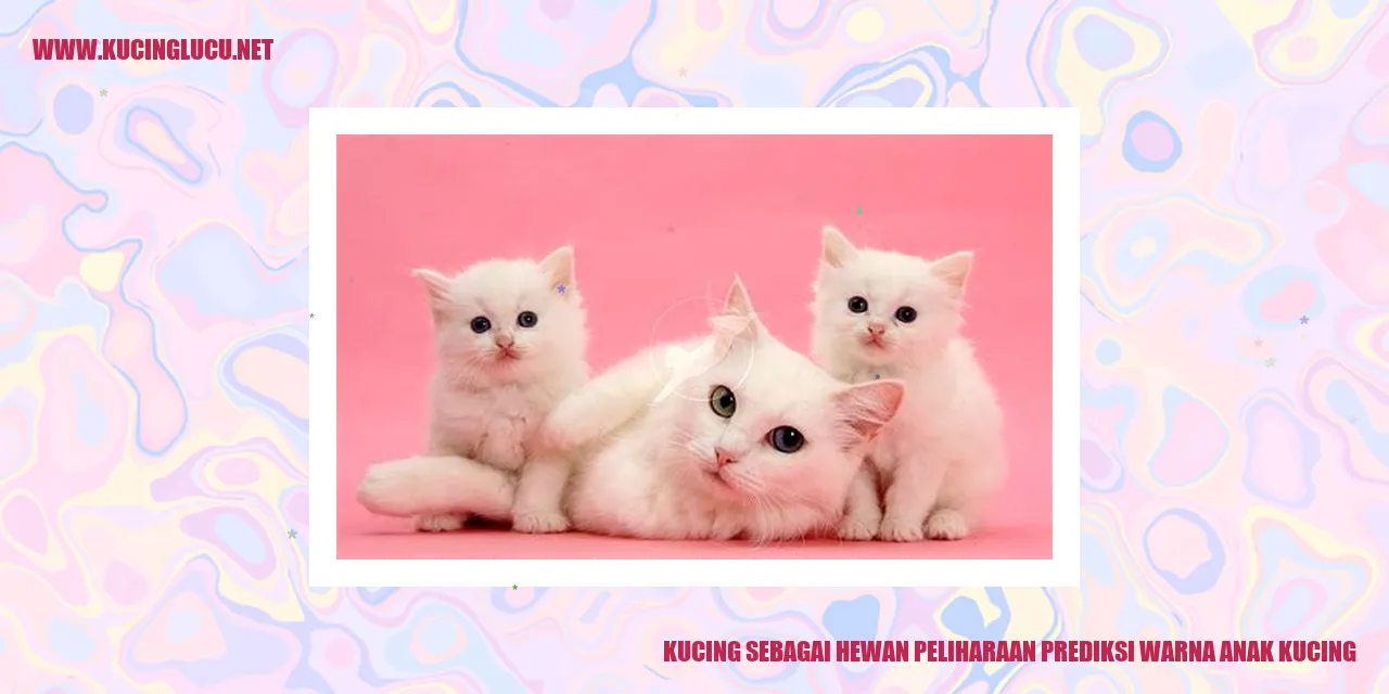 Kucing dan anak kucing