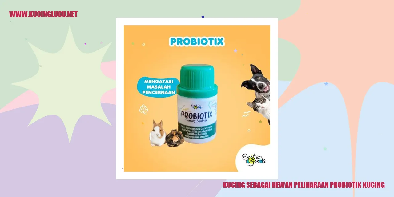 Kucing sebagai Hewan Peliharaan probiotik kucing