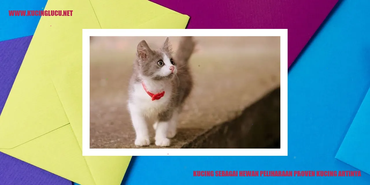 Gambar Kucing