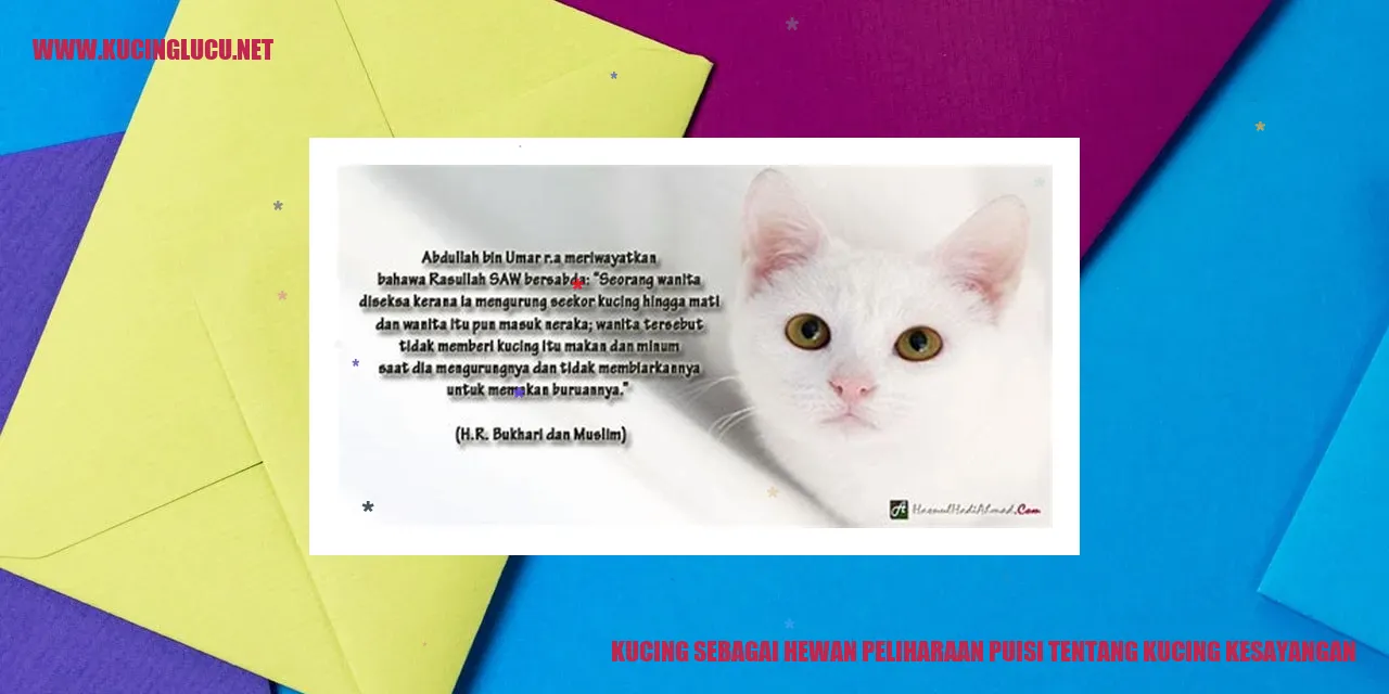 Kucing Kesayangan
