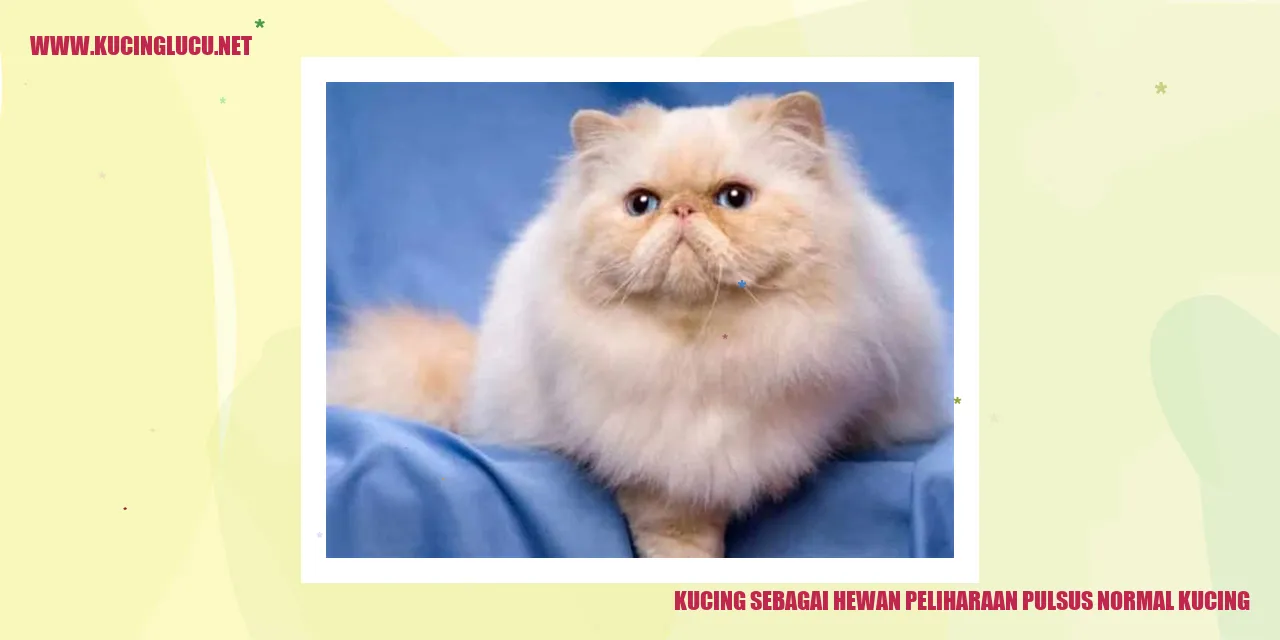 Gambar kucing sebagai hewan peliharaan