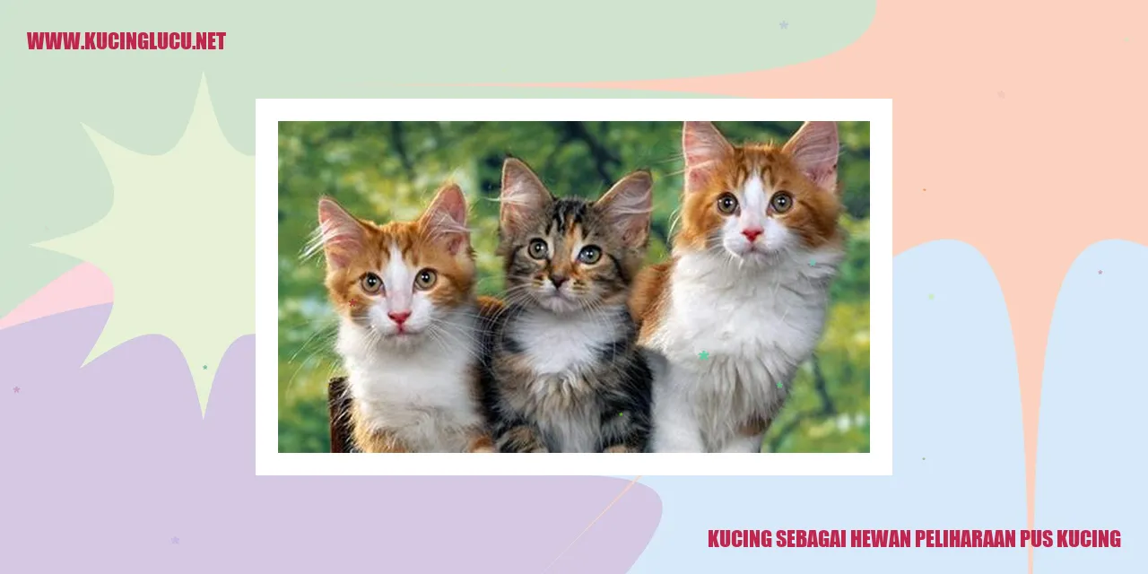 Kucing sebagai Hewan Peliharaan