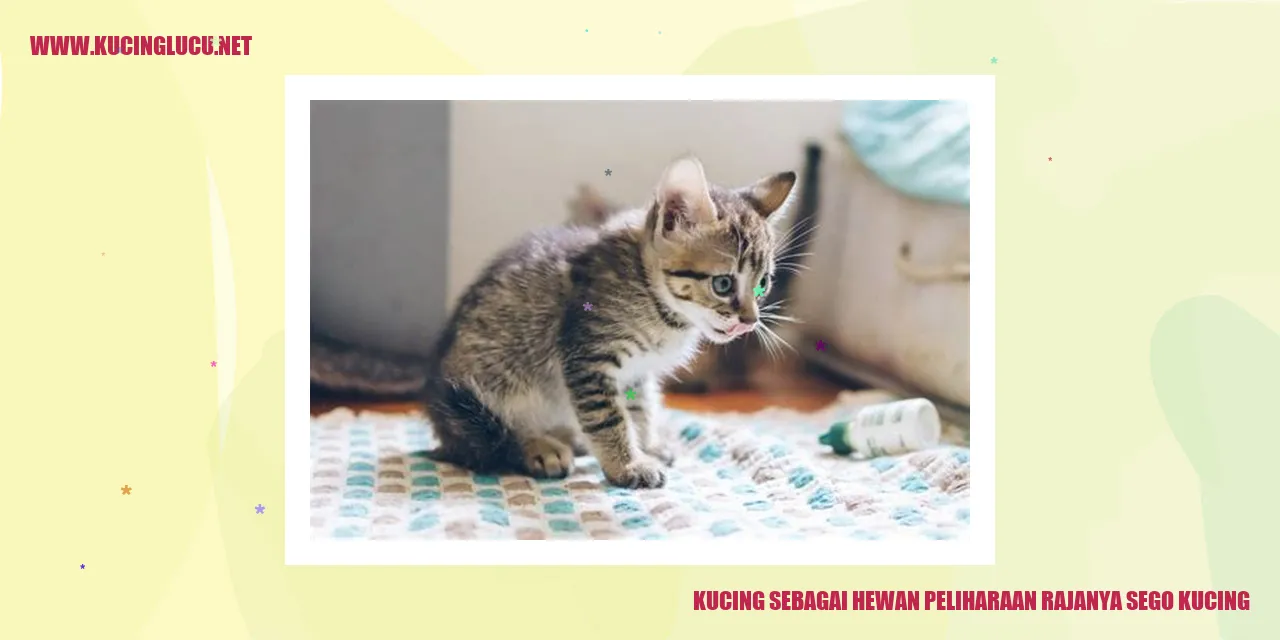 Gambar Kucing