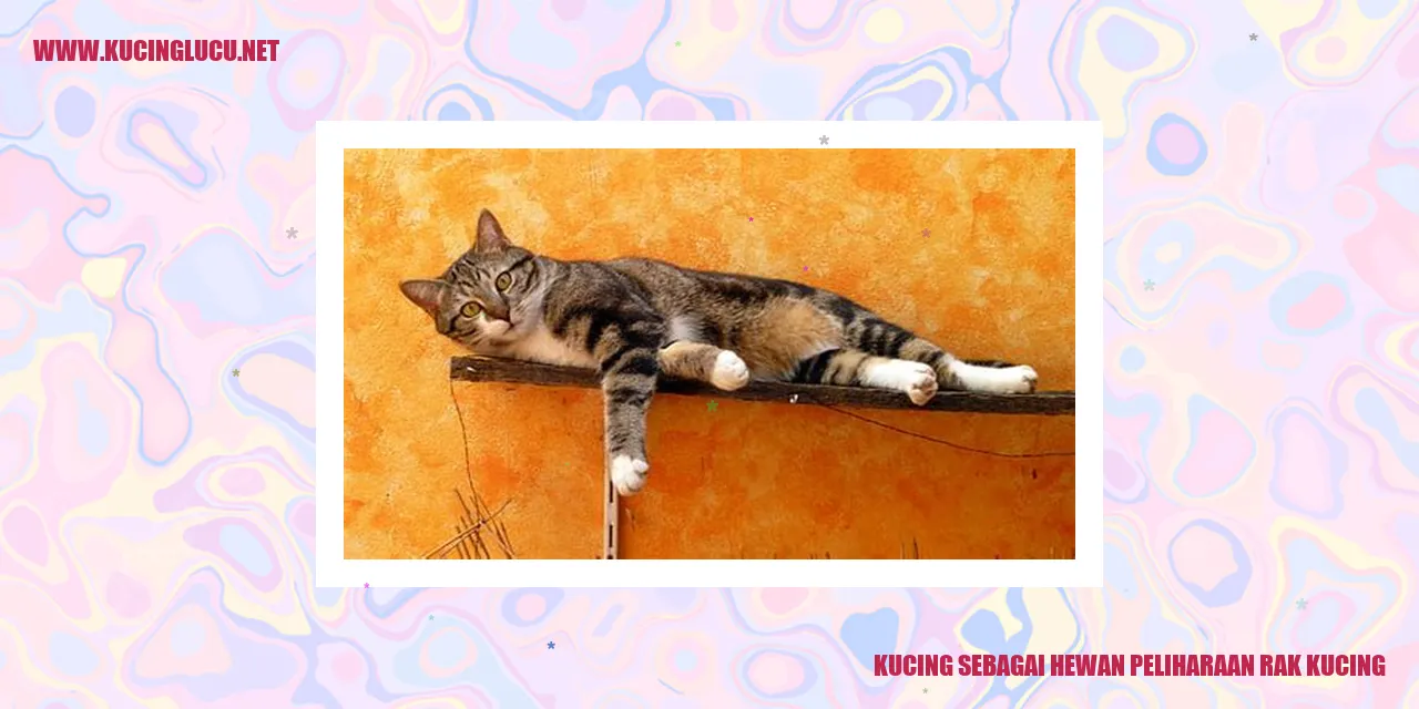 Kucing sebagai Hewan Peliharaan rak kucing