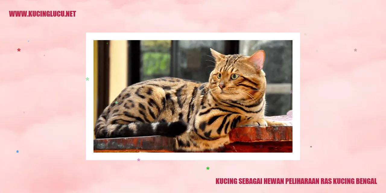 Kucing Bengal