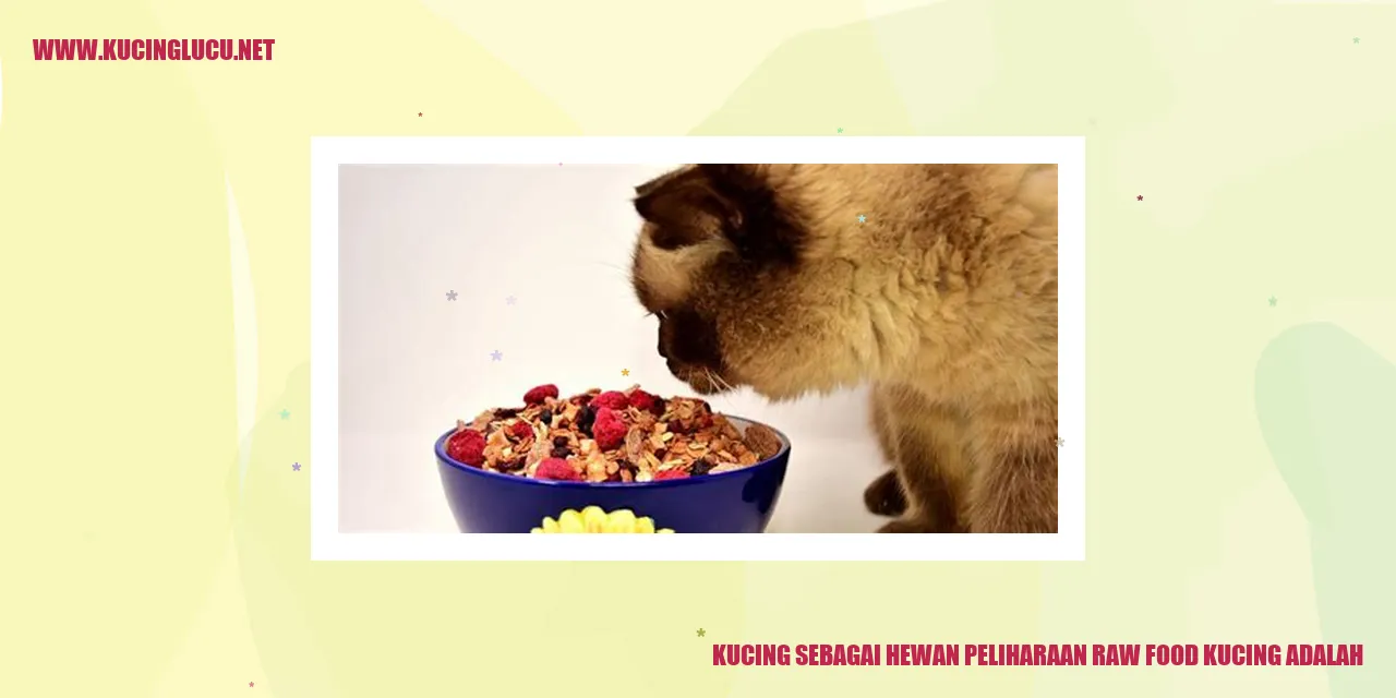 Kucing yang memakan makanan segar