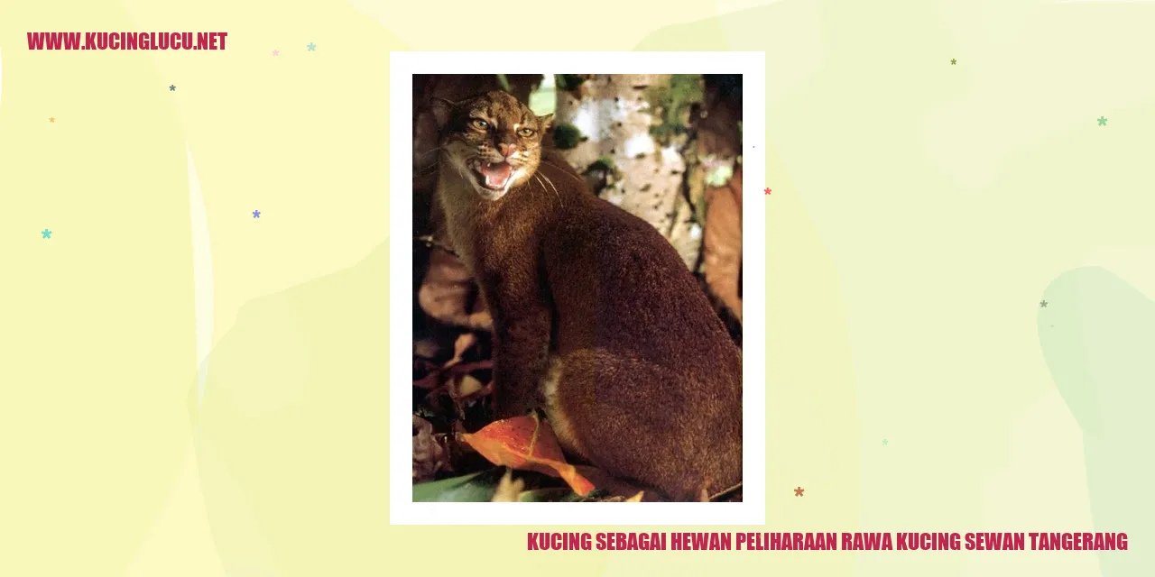 Kucing sebagai Hewan Peliharaan