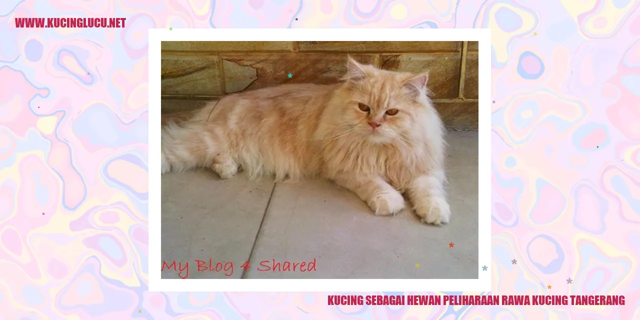 Kucing sebagai Hewan Peliharaan