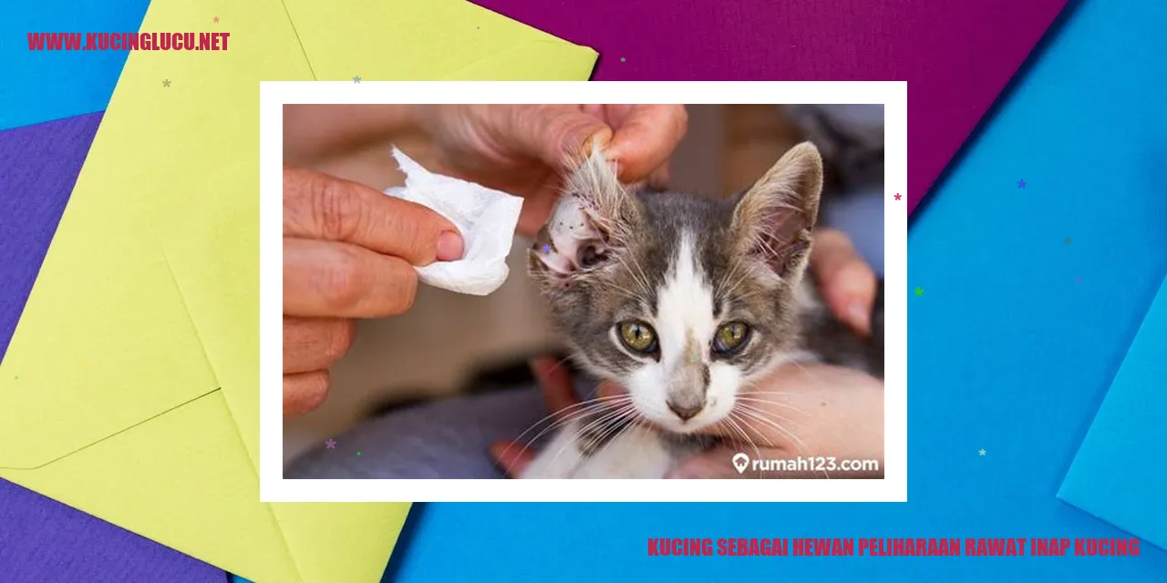 Kucing Sebagai Hewan Peliharaan yang Menyenangkan