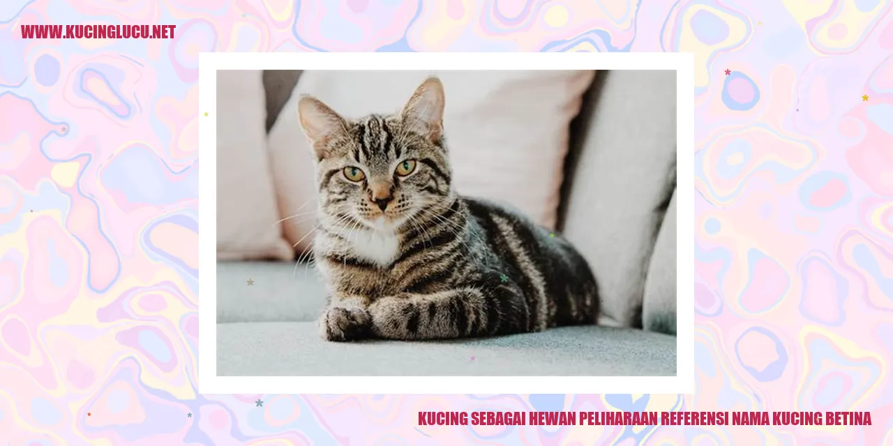 Kucing Betina yang Menggemaskan