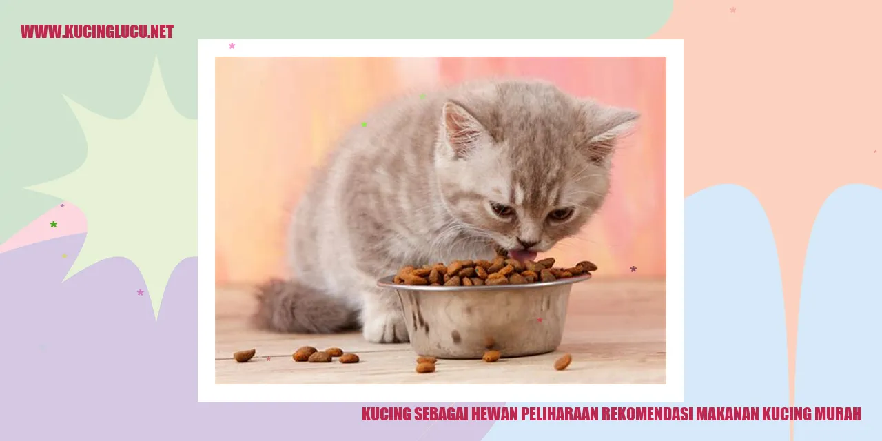 Kucing Foto