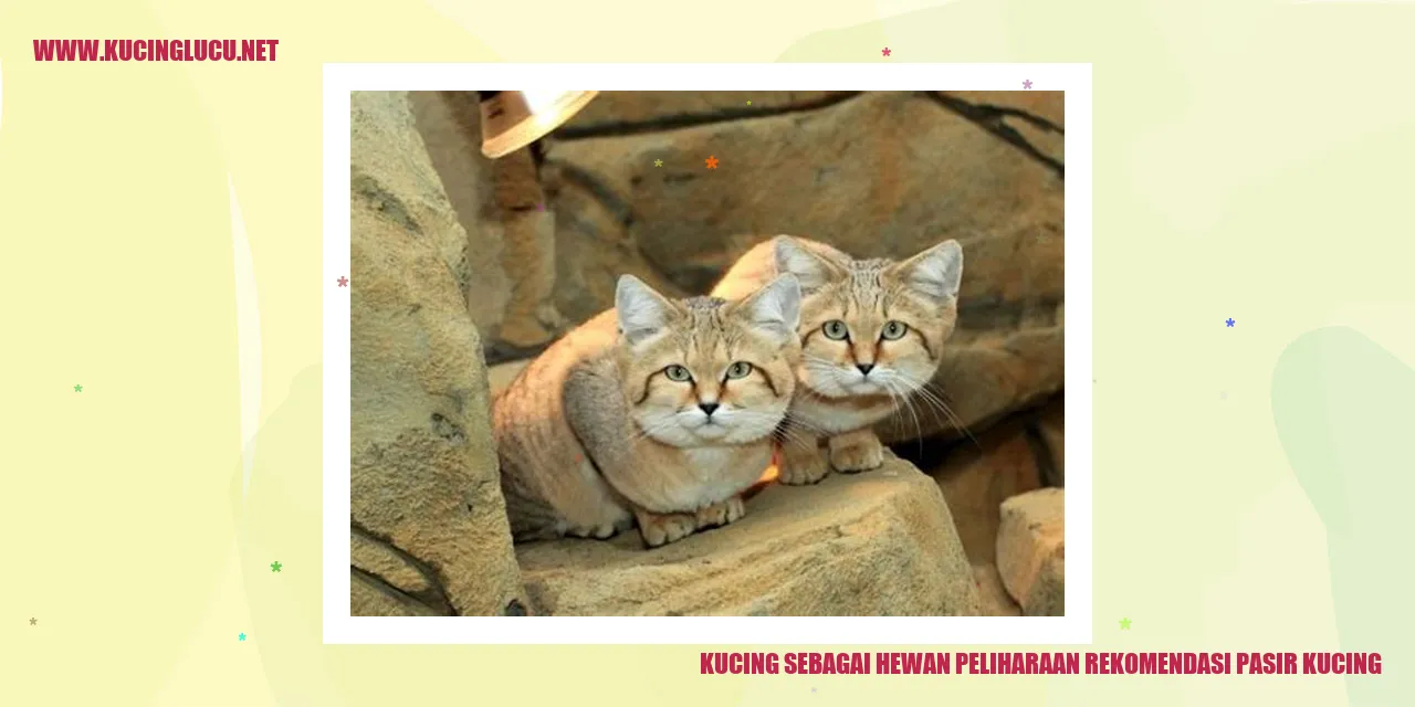 Kucing sebagai Hewan Peliharaan rekomendasi pasir kucing