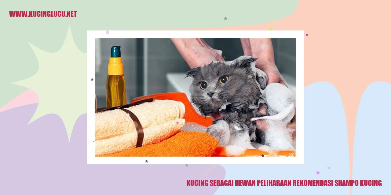 Kucing dengan shampo