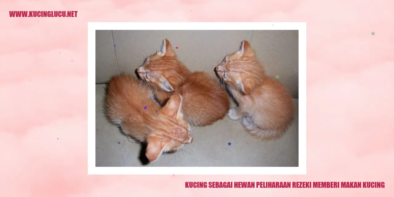Kucing sebagai Hewan Peliharaan