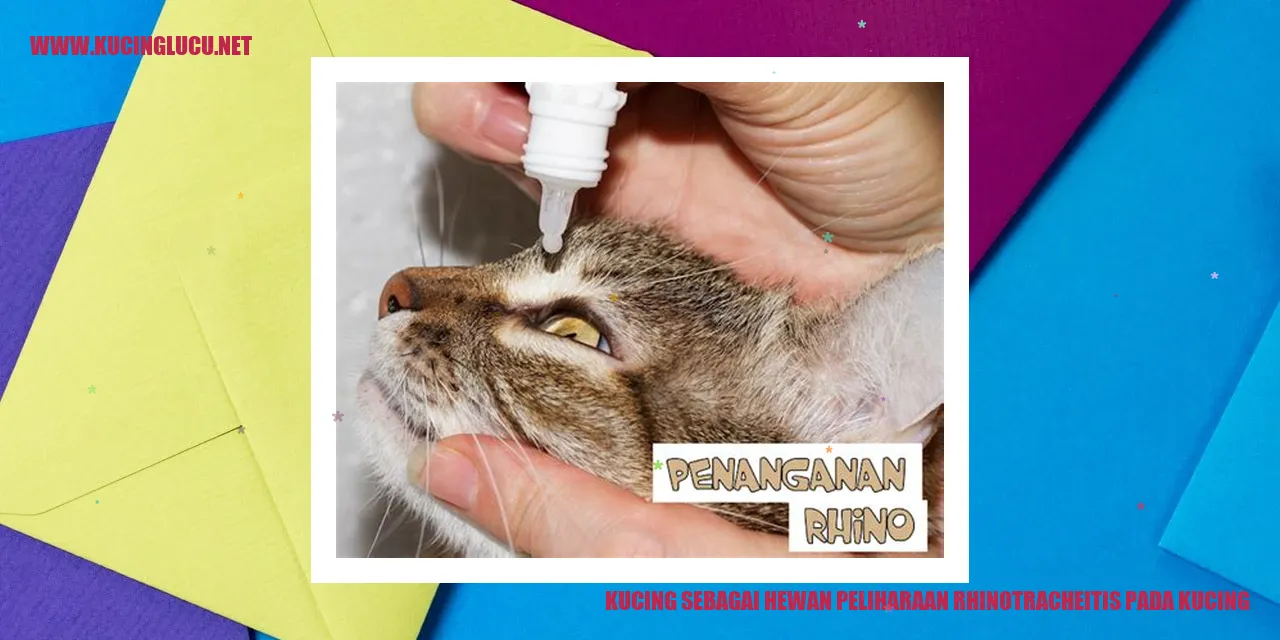 Ilustrasi Kucing