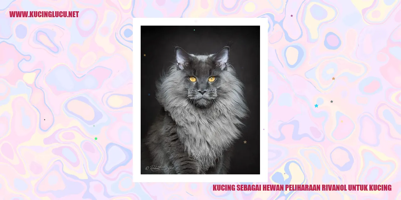 Foto Kucing sebagai Hewan Peliharaan