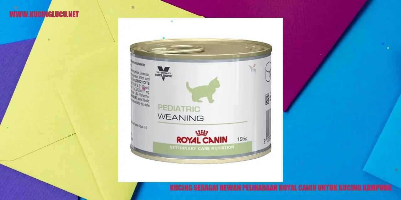 Kucing sebagai Hewan Peliharaan royal canin untuk kucing kampung