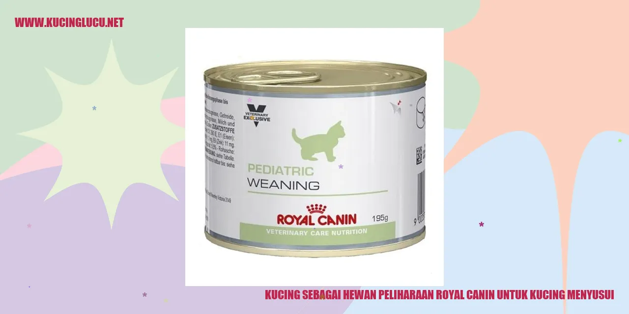 Gambar seekor kucing yang sedang menyusui
