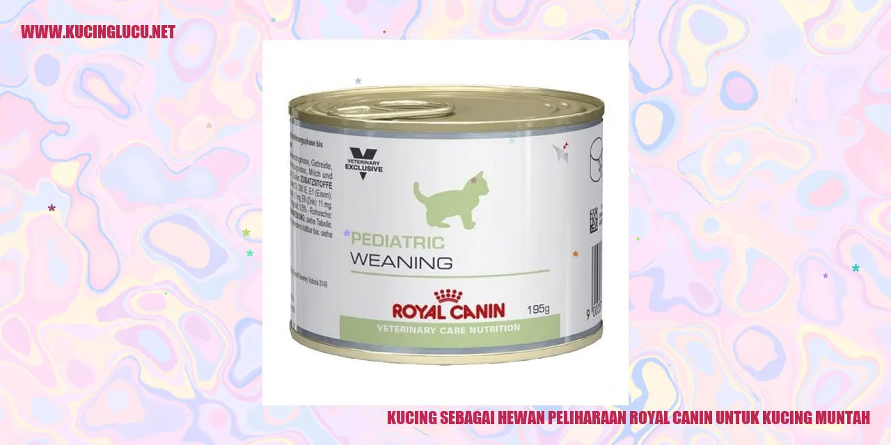 Kucing sebagai Hewan Peliharaan royal canin untuk kucing muntah