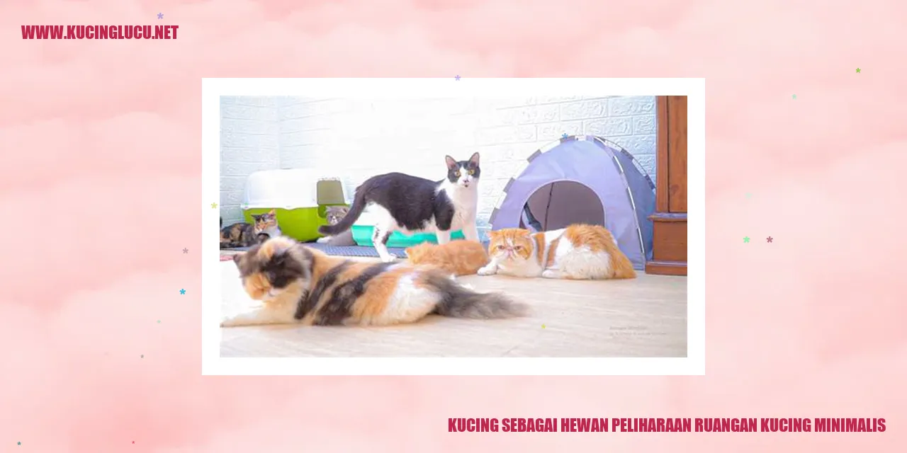 Gambar Kucing sebagai Hewan Peliharaan