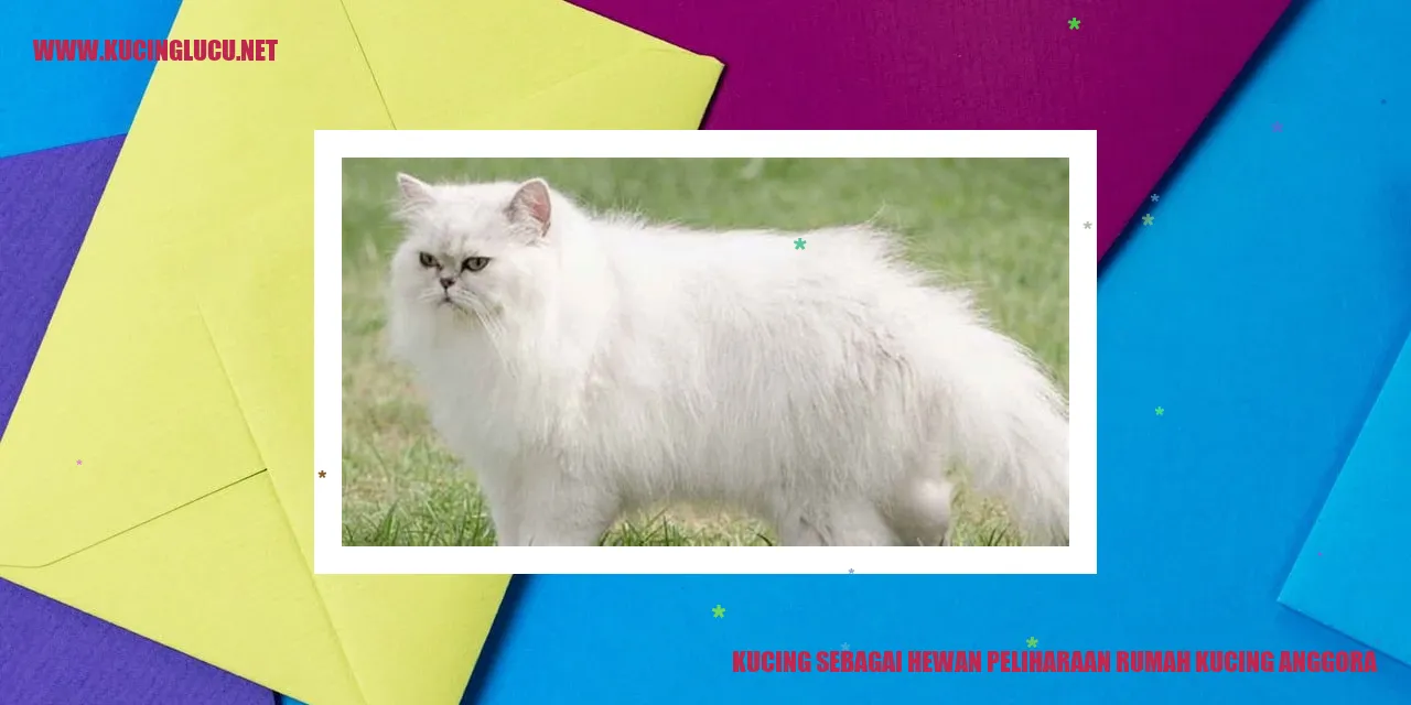 Keanggunan Kucing Anggora