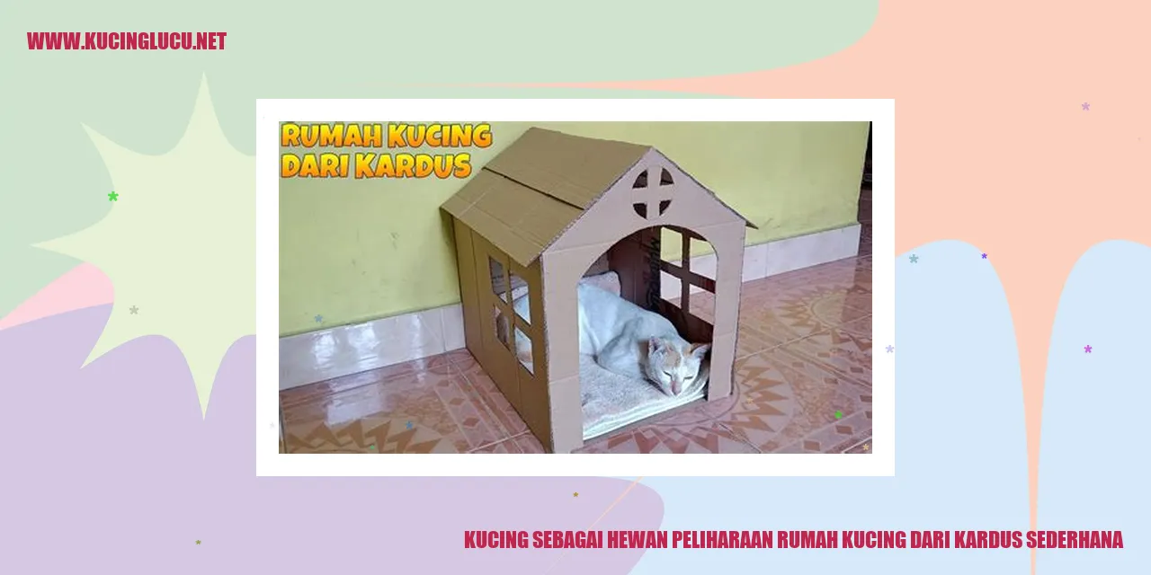 Gambar Kucing