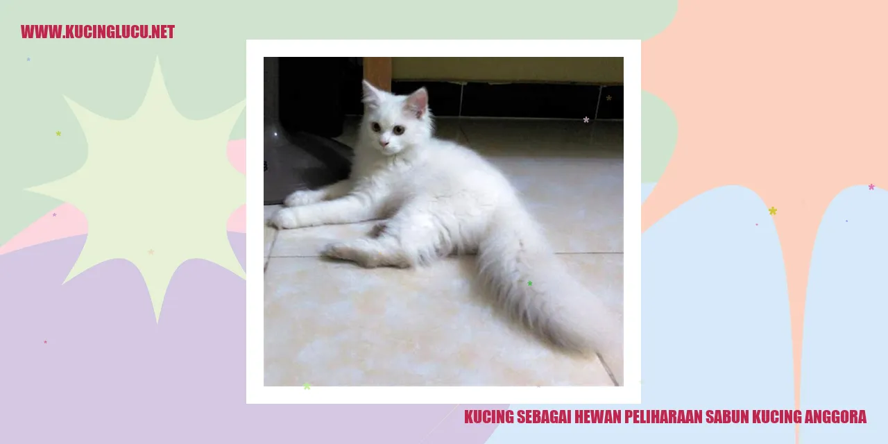 Gambar kucing