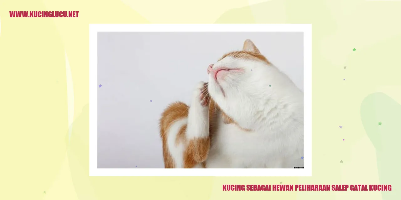 Gambar kucing yang menggigit ekornya