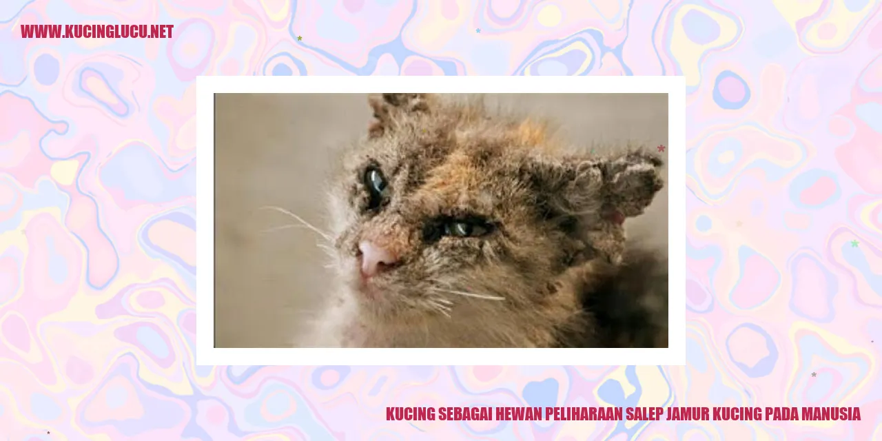 Gambar Kucing yang Menggemaskan