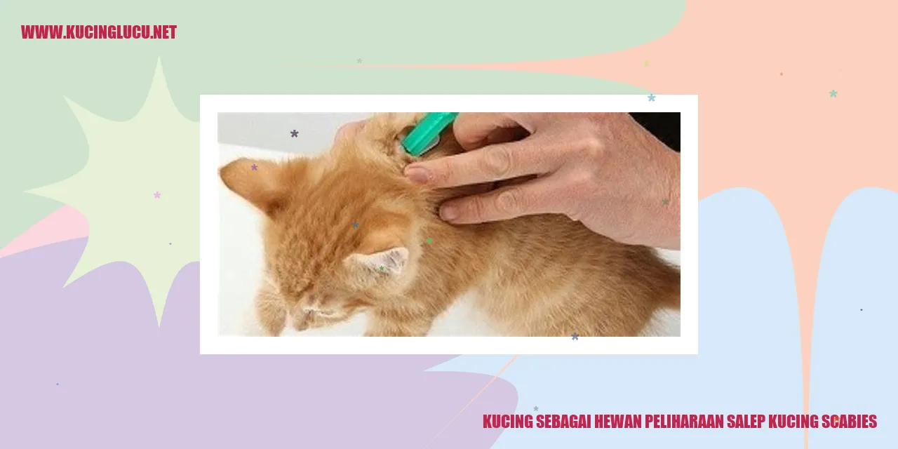 Gambar kucing yang menggemaskan