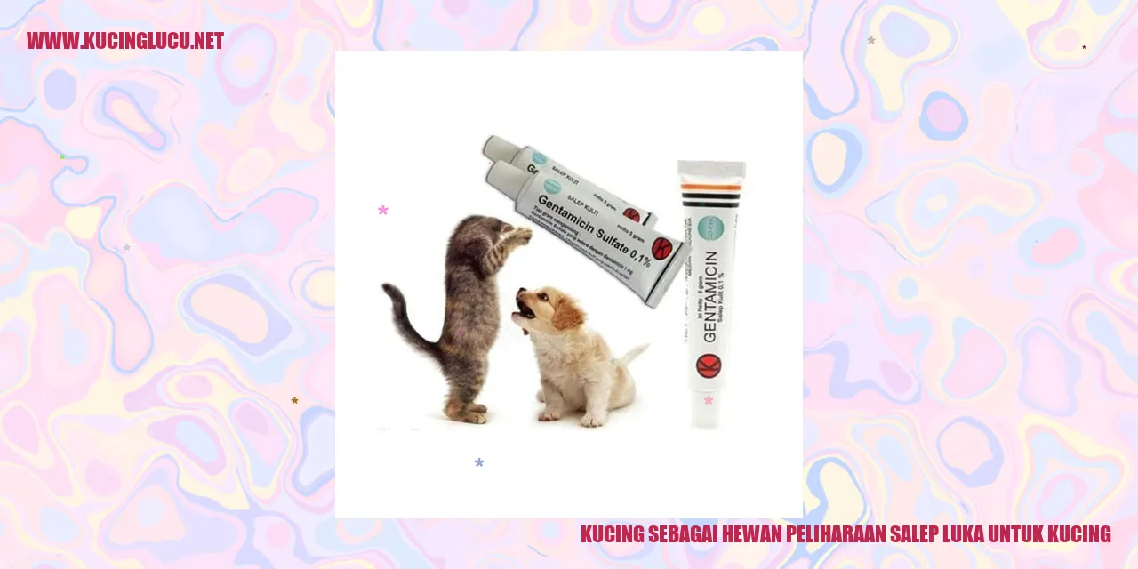 Gambar Kucing sebagai Hewan Peliharaan dan Penggunaan Salep untuk Mengobati Luka pada Kucing