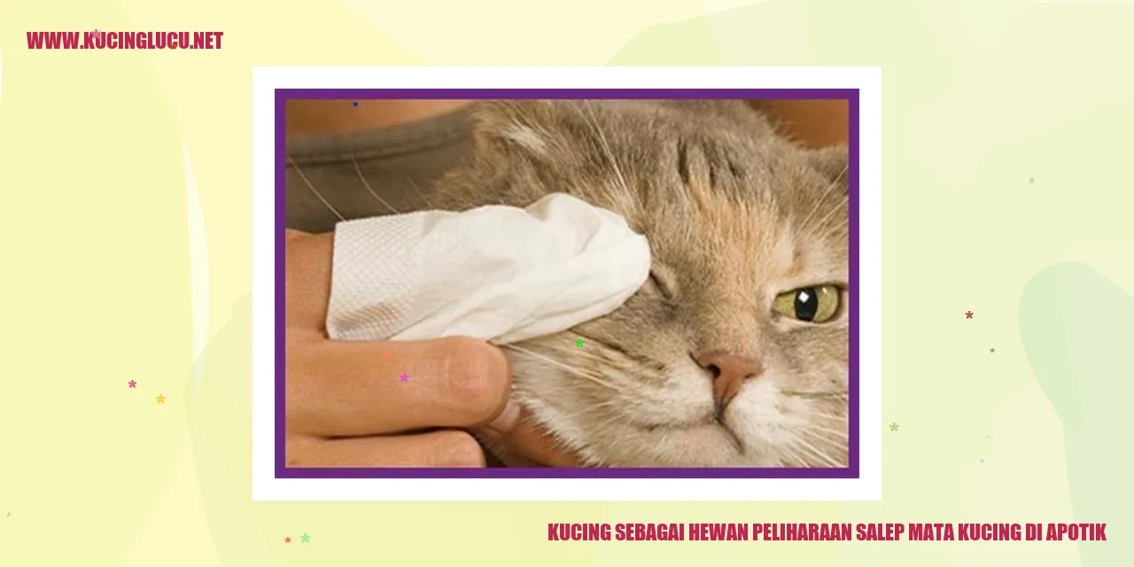 Gambar kucing sebagai hewan peliharaan