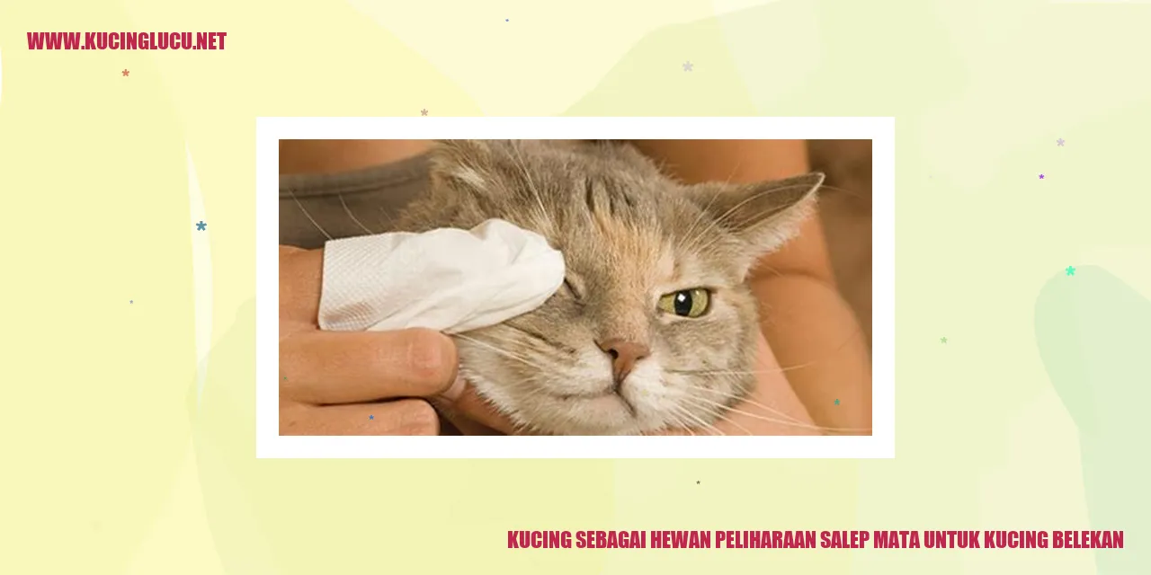 Salep Mata untuk Kucing Belekan