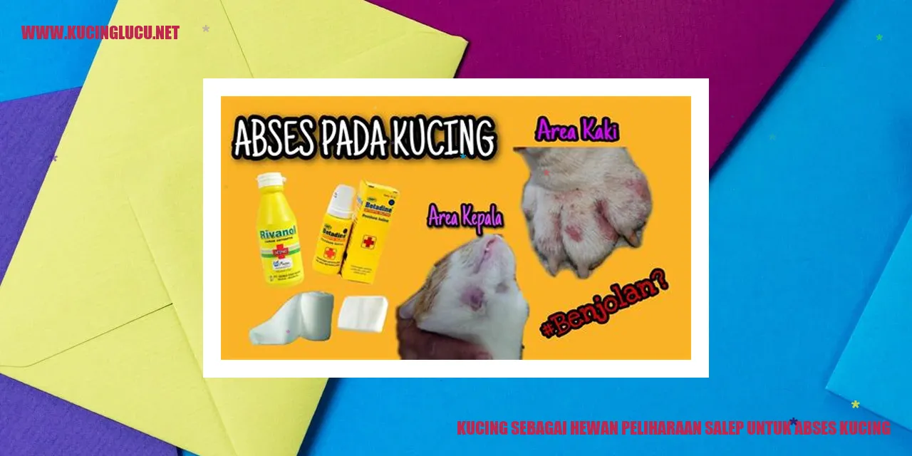 Gambar Kucing sebagai Hewan Peliharaan