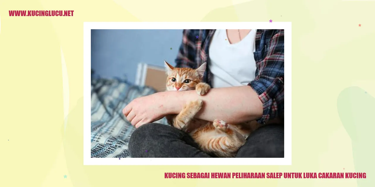 Sebuah Gambar Menunjukkan Kucing yang Menggunakan Salep untuk Mengatasi Luka Cakaran